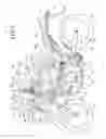 Fig. 02 - Lighting apparatus disposition structure for saddle riding vehicle