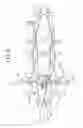Fig. 06 - Lighting apparatus disposition structure for saddle riding vehicle