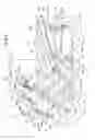 Fig. 07 - Lighting apparatus disposition structure for saddle riding vehicle
