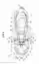 Fig. 09 - Lighting apparatus disposition structure for saddle riding vehicle