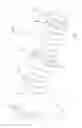 Fig. 05 - Suppressor with varying core diameter