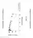 Fig. 05 - CB2 RECEPTOR INTERNALIZATION