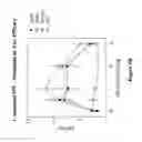 Fig. 11 - CB2 RECEPTOR INTERNALIZATION