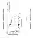 Fig. 12 - CB2 RECEPTOR INTERNALIZATION