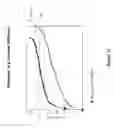 Fig. 19 - CB2 RECEPTOR INTERNALIZATION