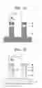 Fig. 02 - Inorganic polarizing plate and method for manufacturing same