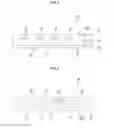 Fig. 04 - LIGHTING DEVICE AND DISPLAY DEVICE
