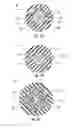 Fig. 08 - Fiber optic ribbon cable having enhanced ribbon stack coupling and methods thereof