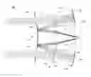 Fig. 01 - Portrait lens system suitable for use in a mobile camera