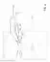 Fig. 09 - METHOD AND APPARATUS FOR DESIGN AND FABRICATION OF CUSTOMIZED EYEWEAR