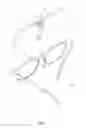 Fig. 03 - Front Hanging Eyeglasses
