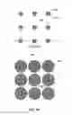 Fig. 07 - Substrate pretreatment compositions for nanoimprint lithography