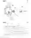 Fig. 07 - Watches