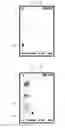 Fig. 08 - USER INTERFACE METHOD AND APPARATUS FOR MOBILE TERMINAL HAVING TOUCHSCREEN