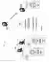 Fig. 02 - MANAGEMENT OF ELECTRONIC CONTENT SHARING