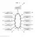 Fig. 02 - Chargeability presenting method and chargeability presenting system