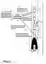 Fig. 09 - Communication device, first radio node, second radio node, and methods therein, for determining whether to allow a first vehicle to overtake a vehicle platoon