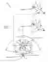 Fig. 01 - Method and system for aircraft taxi strike alerting