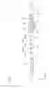 Fig. 02 - Wind instrument