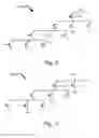 Fig. 07 - SRAM architecture