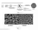 Fig. 02 - Method of manufacturing superparamagnetic nanocomposite and superparamagnetic nanocomposite manufactured using the same