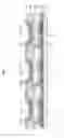 Fig. 02 - Method of manufacturing organic light-emitting display apparatus