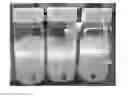 Fig. 01 - Composite separator including porous coating layer made from slurry having improved dispersibility
