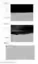 Fig. 02 - Catalyst ink for fuel cell, catalyst layer for fuel cell, and membrane electrode assembly