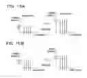 Fig. 16 - Optical transmission apparatus and optical transmission method
