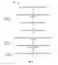 Fig. 06 - Enhanced polymorphic quantum enabled firewall