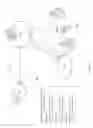 Fig. 09 - Virtual Identity Credential Issuance and Verification Using Physical and Virtual Means