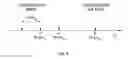 Fig. 09 - Apparatus and method for validating service control status