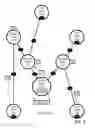 Fig. 09 - Coordinated content distribution over network
