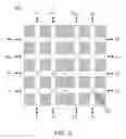 Fig. 04 - Optically-secured adaptive software-defined optical sensor network architecture