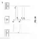 Fig. 06 - Deauthenticating and disassociating unauthorized access points with spoofed management frames