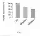 Fig. 08 - Delivery, use and therapeutic applications of the CRISPR-cas systems and compositions for modeling mutations in leukocytes