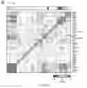 Fig. 36 - Delivery, use and therapeutic applications of the CRISPR-cas systems and compositions for modeling mutations in leukocytes
