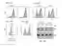 Fig. 38 - Delivery, use and therapeutic applications of the CRISPR-cas systems and compositions for modeling mutations in leukocytes