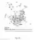 Fig. 40 - Delivery, use and therapeutic applications of the CRISPR-cas systems and compositions for modeling mutations in leukocytes