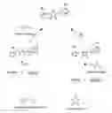 Fig. 02 - Methods for modulating taste receptors