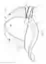 Fig. 08 - CONVERTIBLE CAP THAT CONVERTS INTO A VISOR