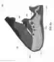 Fig. 35 - Article of footwear with upper having stitched polymer thread pattern and methods of making the same