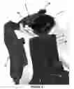 Fig. 06 - Adjustable harness for backpacks and method of using the same
