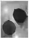Fig. 13 - Automatic beverage maker