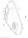 Fig. 06 - Reservoir with removable mobile dispenser