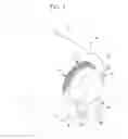 Fig. 02 - Illumination device and endoscope