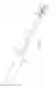 Fig. 02 - Chronic total occlusion crossing devices with imaging