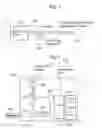 Fig. 02 - Multiple optical fusion-image based method and apparatus for diagnosing brain tumor in real-time