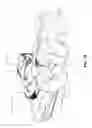 Fig. 02 - SCREENER FOR SLEEP DISORDERED BREATHING