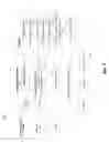 Fig. 07 - Pneumonia screener